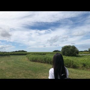 Meet your Posher, Bibi